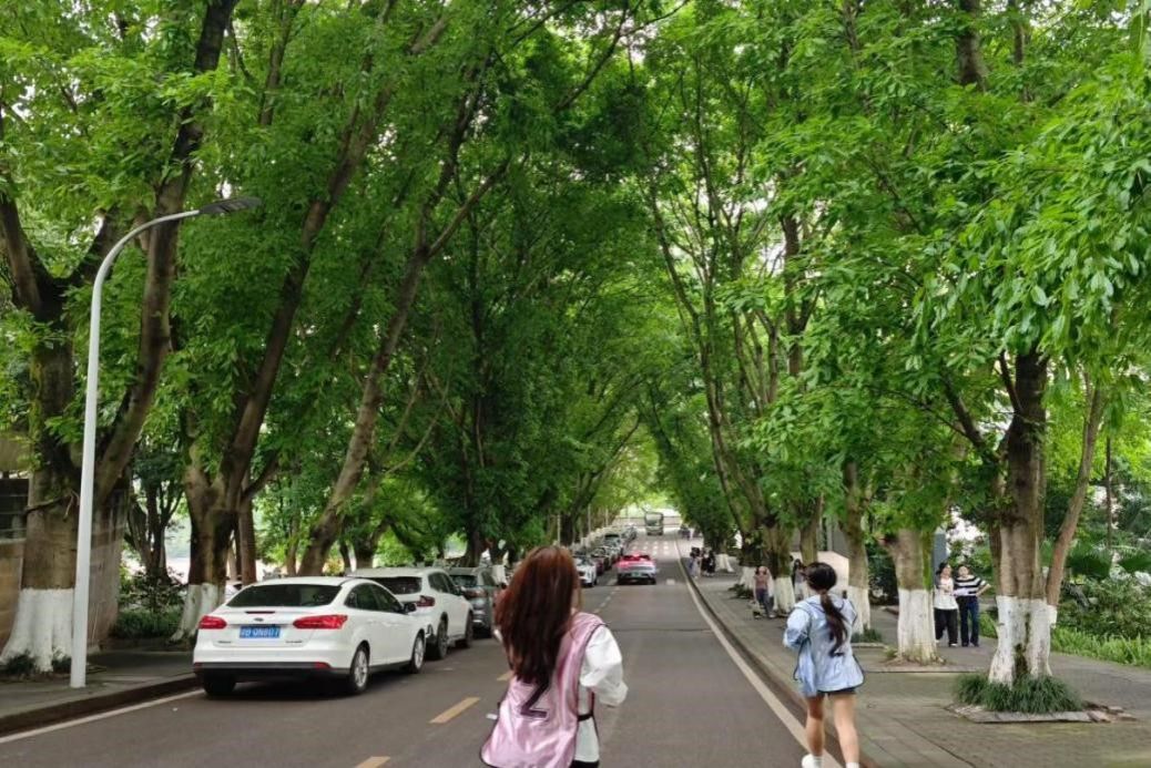 5月16日经济学院开展第十三届“筑梦启航”体育文化节定向越野竞赛圆满收官 原图2.jpg